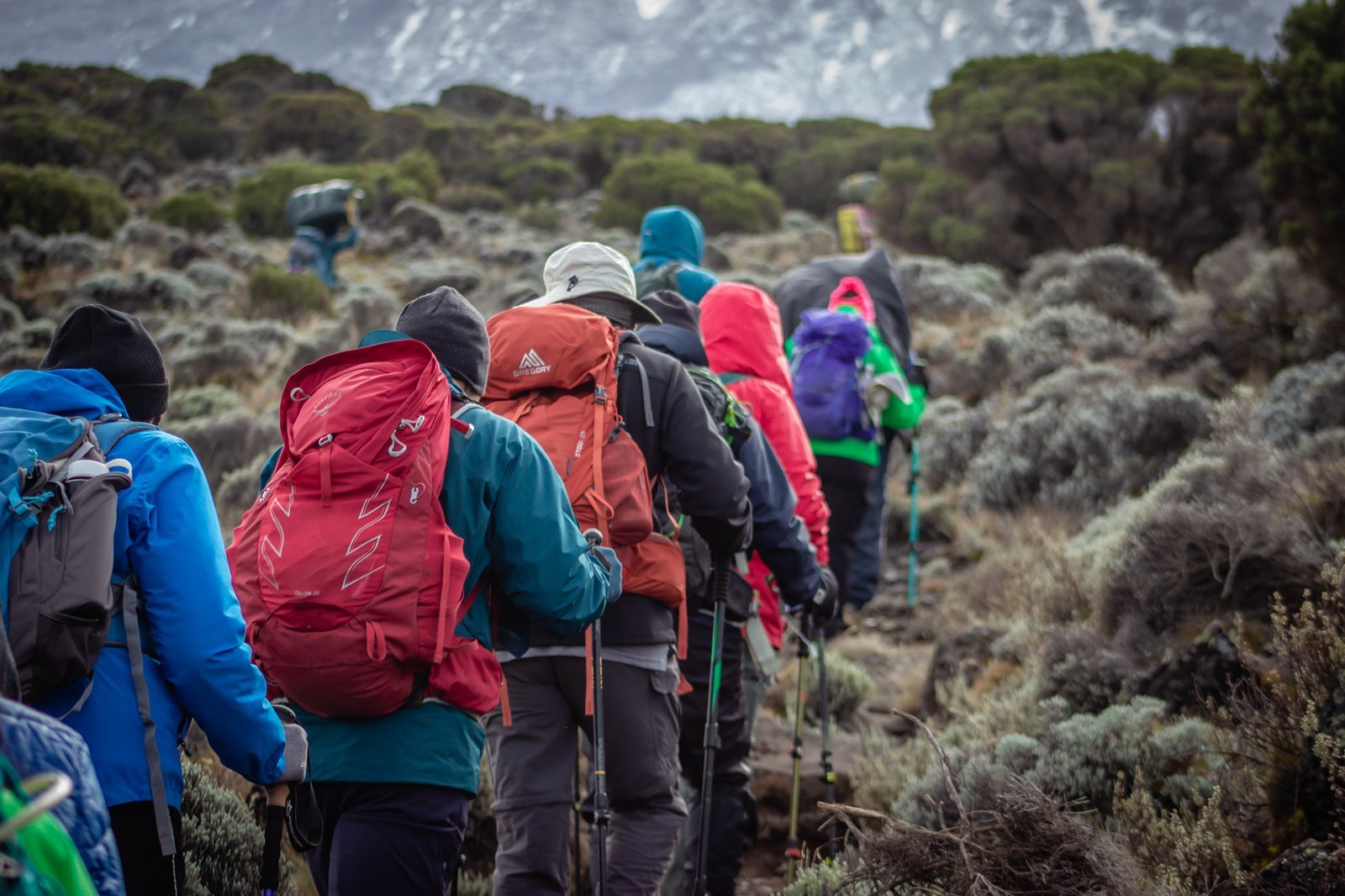 Kilimanjaro summit
